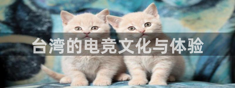 uwin电竞app下载：台湾的电竞文化与体验