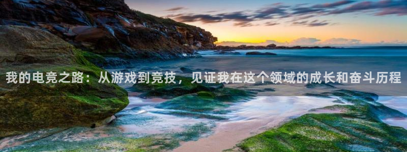UWIN电竞·(中国)集团：我的电竞之路：从游戏到竞技，见证我在这个领域的成长和奋斗历程
