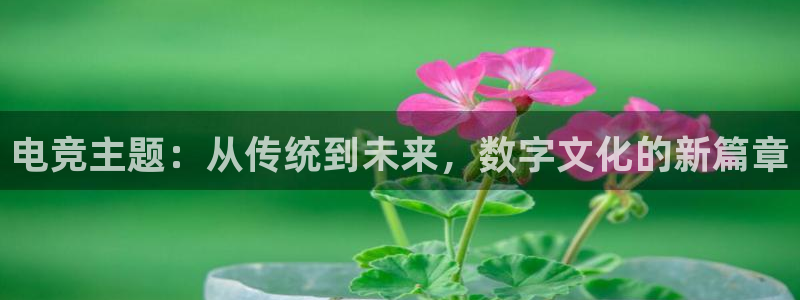 uwin电竞集团：电竞主题：从传统到未来，数字文化的新篇章