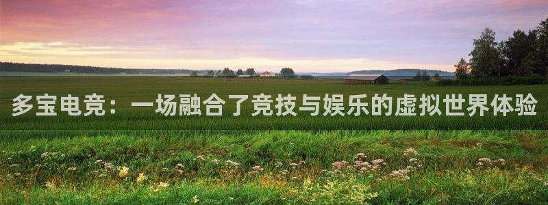 UWIN电竞·(中国)集团：多宝电竞：一场融合了竞技与娱乐的虚拟世界体验