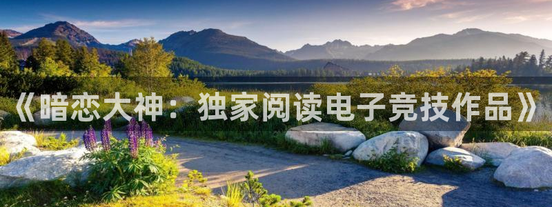Uwin电竞在线：《暗恋大神：独家阅读电子竞技作品》