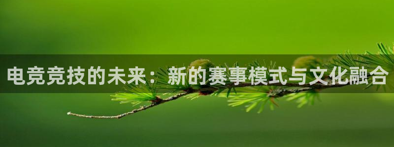 uwin电竞下载：电竞竞技的未来：新的赛事模式与文化融合