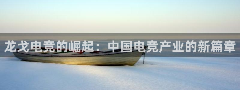 Uwin电竞注册：龙戈电竞的崛起：中国电竞产业的新篇章