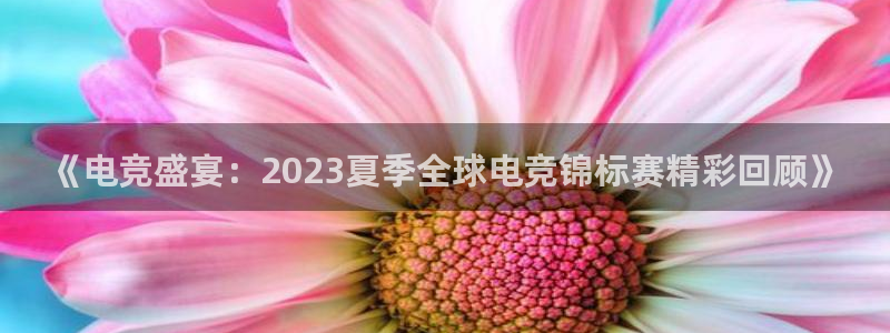 uwin电竞网址：《电竞盛宴：2023夏季全球电竞锦标赛精彩回顾》